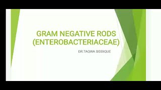 Gram Negative Rods Enterobacteriaceae [upl. by Nauqas]