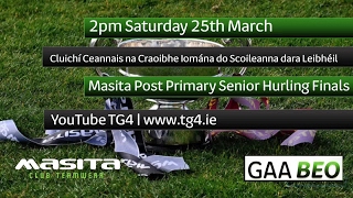 TG4 TO STREAM LIVE GAA MATCHES ONLINE [upl. by Eirual]