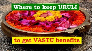 Where to keep uruli at home  Uruli Flower Benefits  Attract Wealth [upl. by Alyat]