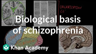 Biological basis of schizophrenia  Behavior  MCAT  Khan Academy [upl. by Namaj260]