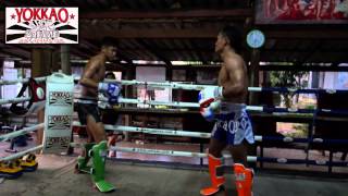 Sangmanee Sor Tienpo vs Saenchai Pk MuayThaiGym  yokkaoboxing [upl. by Callahan]