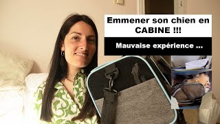 Emmener son chien en cabine  Expérience désastreuse [upl. by Yeneffit]