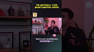 Unlock the Secrets of Your Emotions The Amygdala Explained 🔑🧠 [upl. by Anerbas]