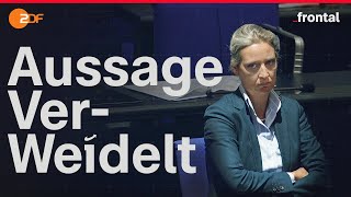 10 JAHRE AFD Die Gründer packen aus I Spurensuche I frontal [upl. by Behre]