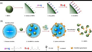 Alternating Current Conductivity of Papain Doped Palypyrrole Composite Polymer [upl. by Samantha]