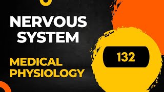 classification of Nerve Fibers 132 Sembulingam physiology [upl. by Eldwin]