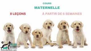 Cours Maternelle  Notre méthode [upl. by Onra]