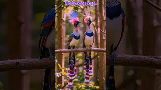 Amazing AI Bird beautiful reaction birdsbirdsingingmusicnatureanimals wildlifeaiartshortsfeed [upl. by Heimlich]