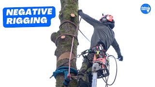 How to rig sections of trunk onto itself  Arborist Rigging techniques [upl. by Aicaca908]