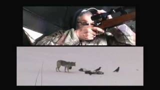 Ontario Wolf Hunt [upl. by Ebanreb]