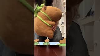 Fun Playtime with Capybara Plush Cute Turtle Backpack amp Capybara Stack linkinbio [upl. by Madlin]