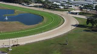 Tampa Bay Downs horse track [upl. by Myrah]