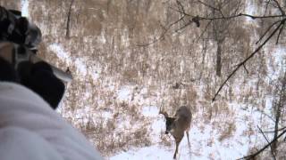 FULL VIDEO  Spine shot from the stand  4 x 5 white tail [upl. by Aiuqcaj]