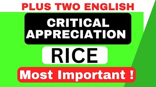 CRITICAL APPRECIATIONRICE by Chemmanam ChackoPlus Two EnglishImportant Answer [upl. by Ahsenev]