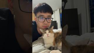 How I give me cat asthma meds aerocat cat [upl. by Suidualc]