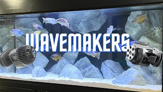 Why You Need Wavemakers in Cichlid Tanks [upl. by Layod]