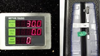 Baggage Limit Increase amp More  SQ Insider 1  Singapore Airlines [upl. by Oinotna167]