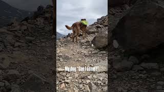 Dog friendly hikes in Anchorage Alaska  hiking with your dog  vanlife [upl. by Eilata981]