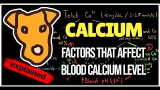 Blood calcium level Regulation Factors that affect blood Calcium level Total Ca Free Ca Binded Ca [upl. by Slaughter]