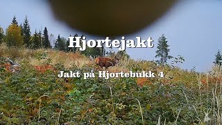 Hjortejakt Jakt på hjortebukk 4 [upl. by Noeled]