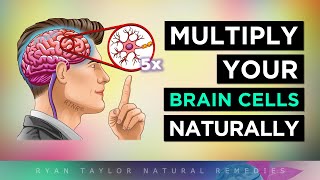 12 Ways To MULTIPLY Your BRAIN CELLS [upl. by Kotz]