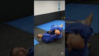 Raspagem de Omoplata com Montada bjj jiujitsu [upl. by Goda948]