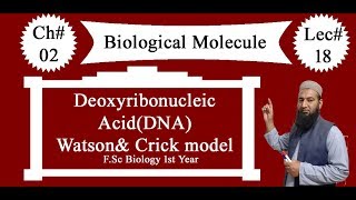 Biology Ch02Lecture18 Deoxyribonucleic acidDNA FSc 1st Year [upl. by Tiphane]