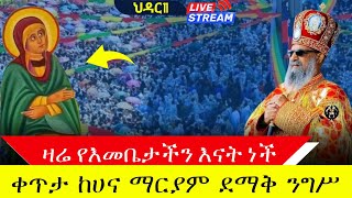 🔴live የእቤታችን እናት ቅድስትሀና ንግሥ ❗❗👉ቀጥታ ከሀና ማርያም ቤክ november 20 king [upl. by Eneli]