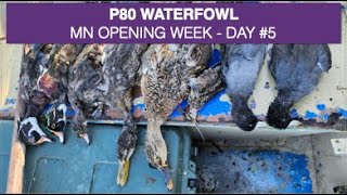 Semaine dOuverture au Gibier dEau Jour 5  MN USA Sept 2024  MN Waterfowl Opening Week Day5 [upl. by Lynsey]