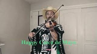 Mexican Hat Dance violin solo [upl. by Naujak]