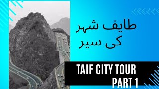 Taif city Saudi Arab same as murre Pakistan part1 [upl. by Eniaral811]