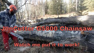 Falling my Biggest Trees Yet with the New JonCutter G5800 Chainsaw [upl. by Guillemette18]