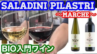 【ワイン】 SALADINI PILASTRI BIO入門ワイン テイスティング [upl. by Elime]