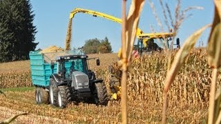 Maisernte mit VALTRA Traktoren  AMPLandtechnik [upl. by Rednijar766]