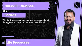 Why is it necessary to separate oxygenated and deoxygenated blood in mammals and birds [upl. by Stephenson]