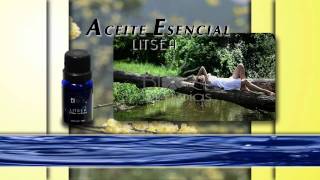 Aceite Esencial  Litsea [upl. by Selinda]