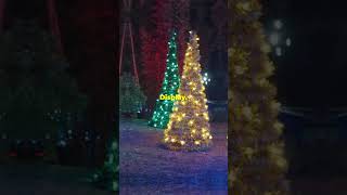 Top 3 MustSee Holiday Light Displays [upl. by Ahsei]