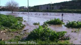 Bitonto rieccolo il fiume Tiflis [upl. by Grimaldi201]