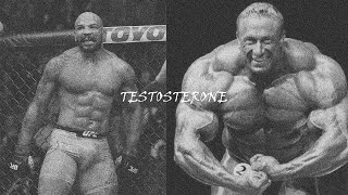 Testosterone edit  Bero 02 [upl. by Aivatan]