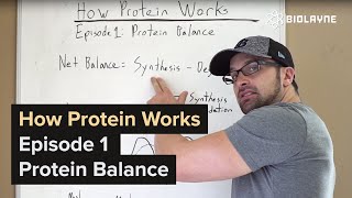 How Protein Works  Episode 1 Protein Balance [upl. by Adnert270]