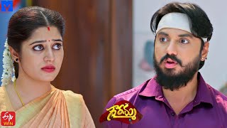 Gowramma Serial Promo  25th November 2021  Gowramma Telugu Serial  Mallemalatv [upl. by Patrick847]