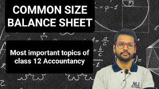 COMMON SIZE BALANCE SHEET Class 12 Accountancy  important topics MJ Tutorial [upl. by Dionne]