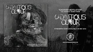 CADAVEROUS ODOUR  CADAVER MUTILATION EP  Iron Fortress Records [upl. by Granoff634]