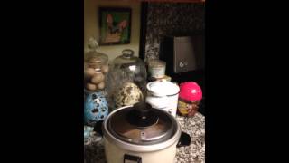 Steaming Rice Cooker [upl. by Ynoffit]