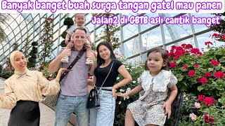 BANYAK BUAH SURGA TANGAN GATEL PENGEN PANEN  JALAN2 KE GARDEN BY THE BAY CANTIK BANGET [upl. by Rem456]