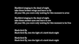 The Beatles  Blackbird Meaning [upl. by Adnoel]