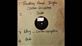 Carlton Livingston  Trodding Through The Jungle Dubplate Prerelease 10quot [upl. by Htiek]