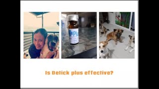 Is Detick effective to dogs A Detick plus Review [upl. by Lledroc]