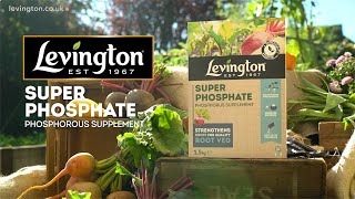 How to use Levington Superphosphate phosphorus supplement for vegetable plants [upl. by Lewiss65]