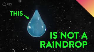 What Do Raindrops Really Look Like [upl. by Vladi]